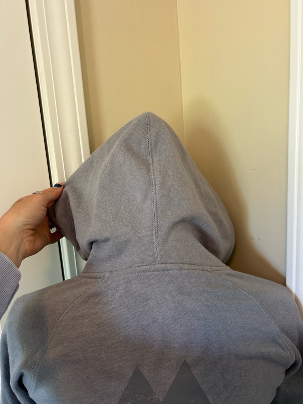 The North Face Women's Light Gray Full-Zip Hooded Sweatshirt - Picture 3 of 6